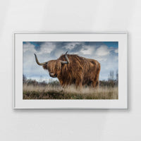 PSP093W062