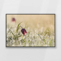 PB-093W062