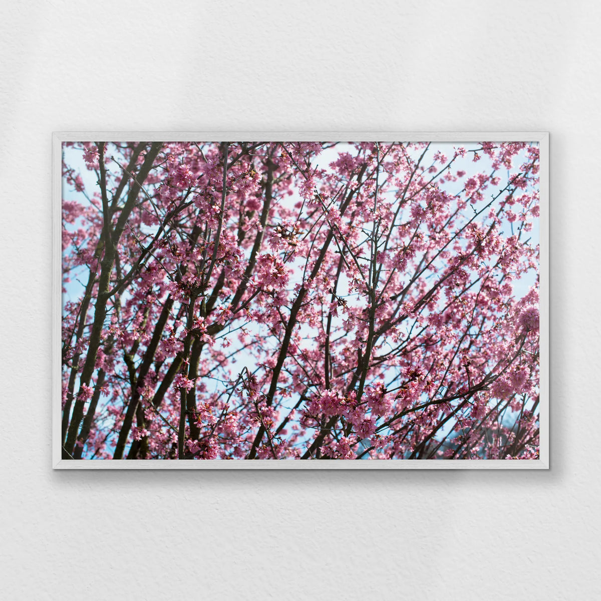 PW-093W062
