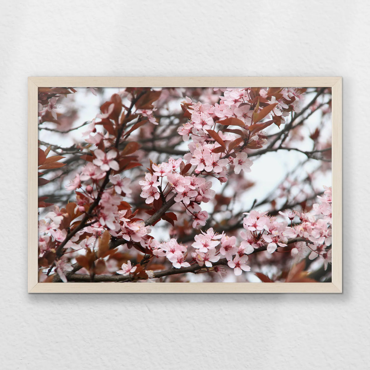 PN-060W040
