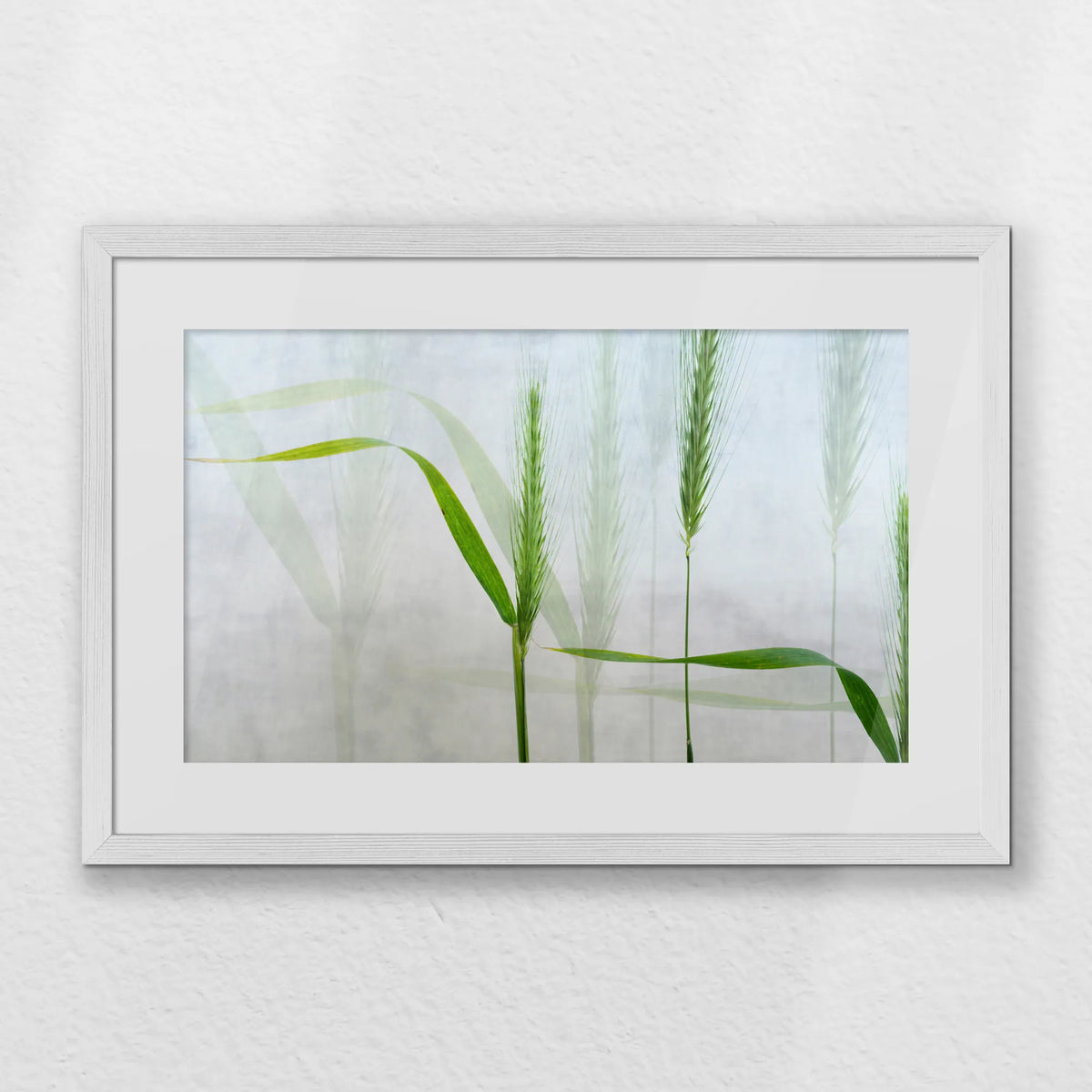 PWP060W040