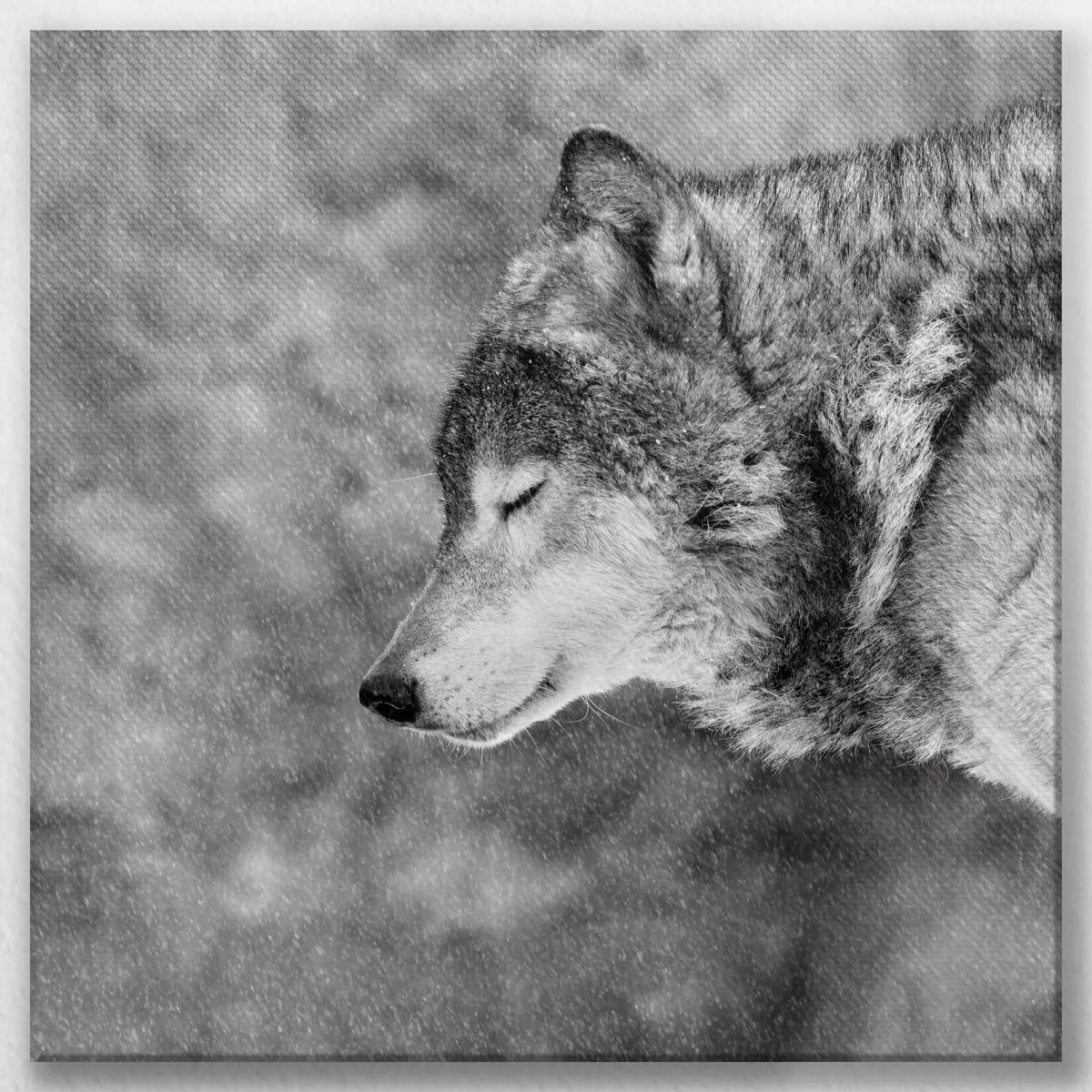 LW-030W030