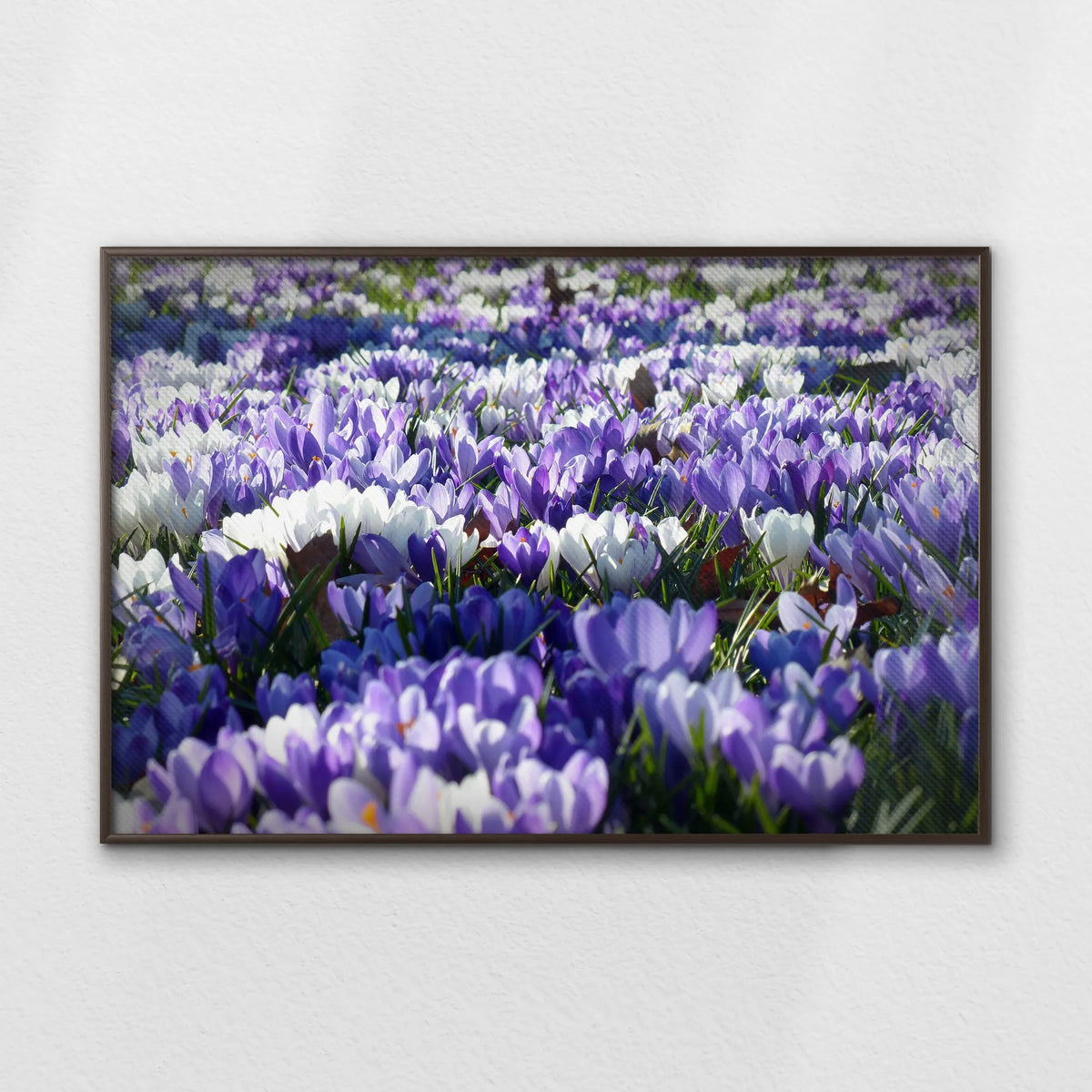 LWN120W080