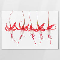AL-075W050