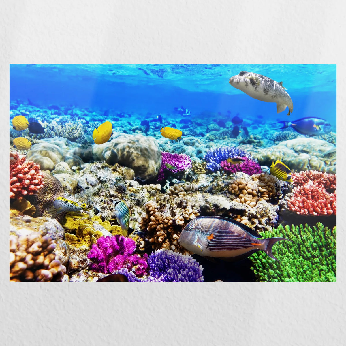 PO-045W030