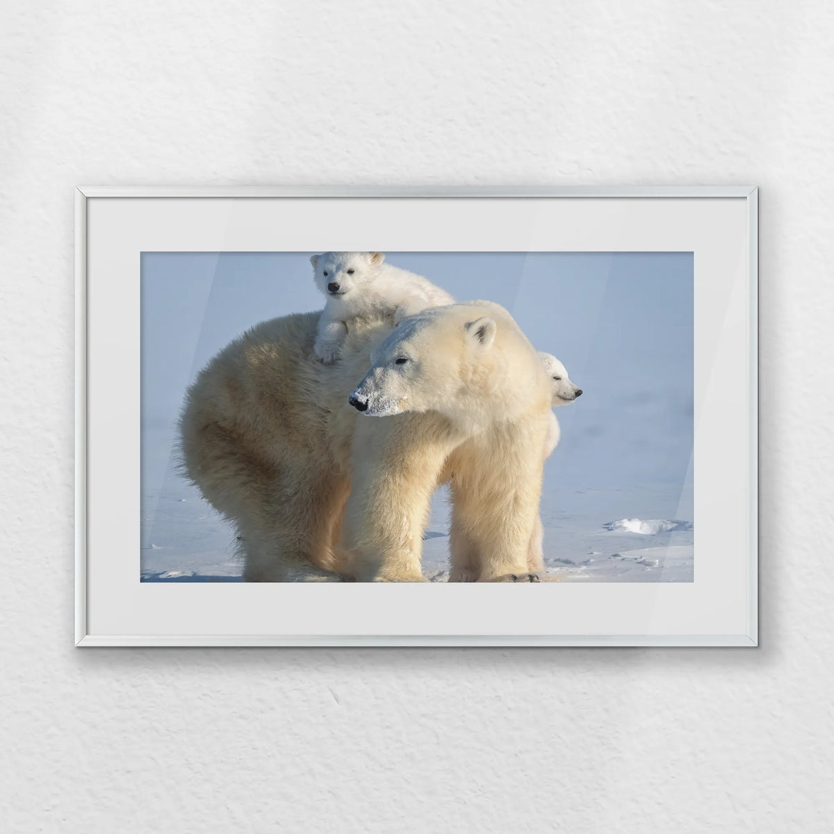 PSP060W040