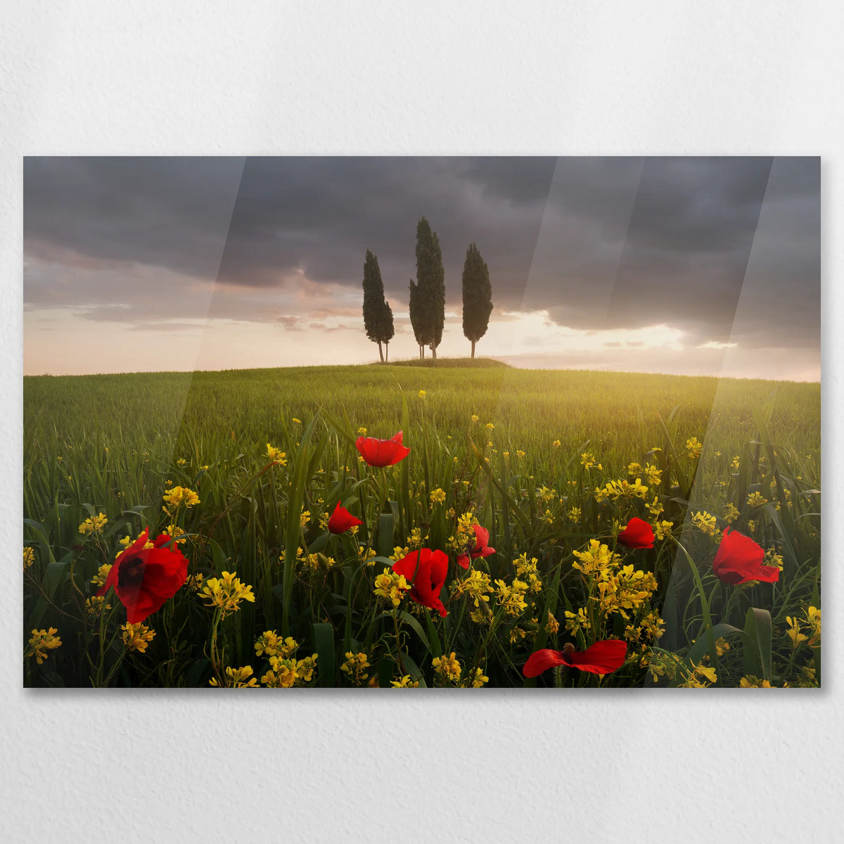AC-075W050