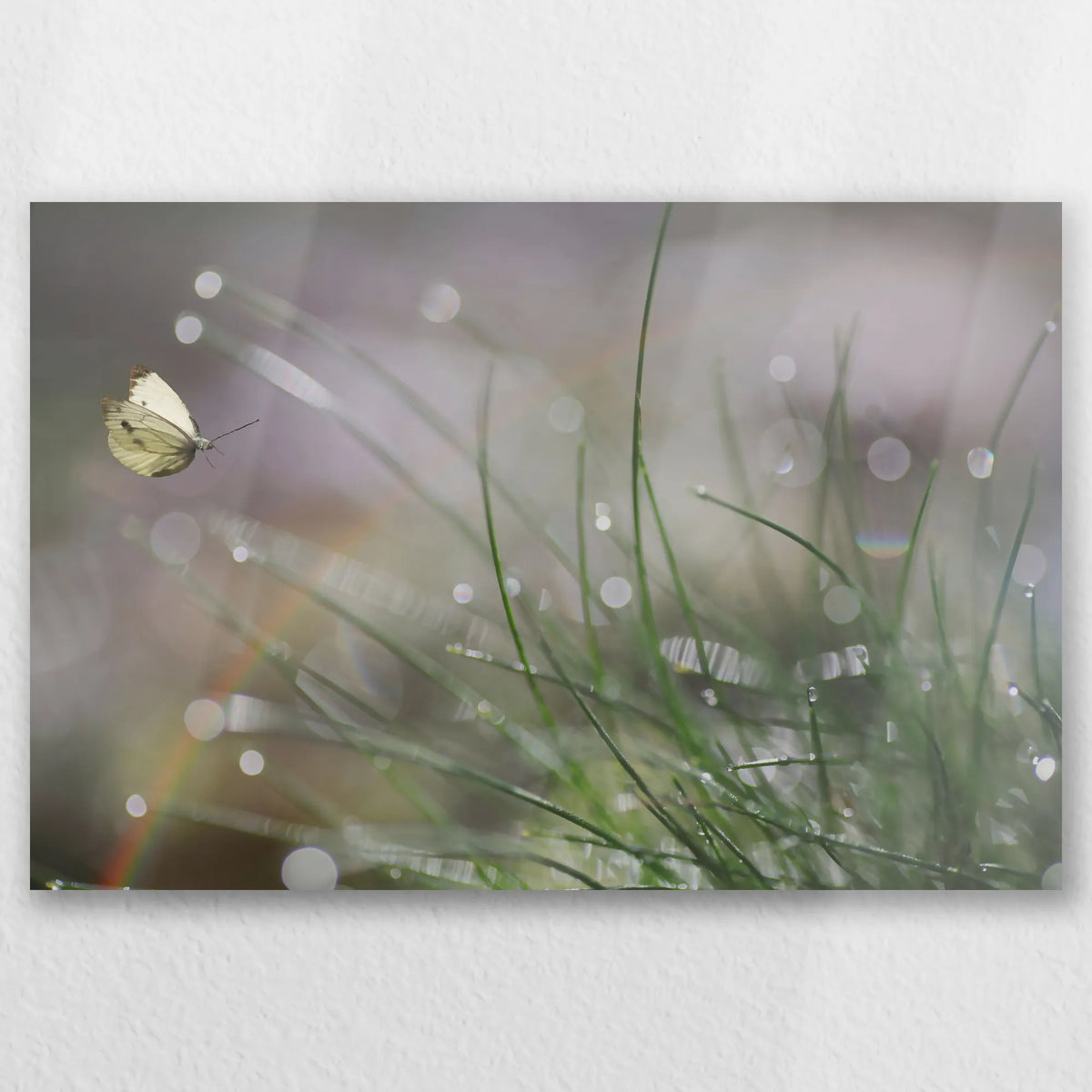 AL-060W040