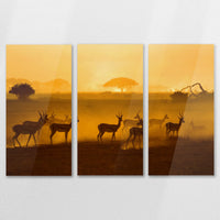 AC-120R080