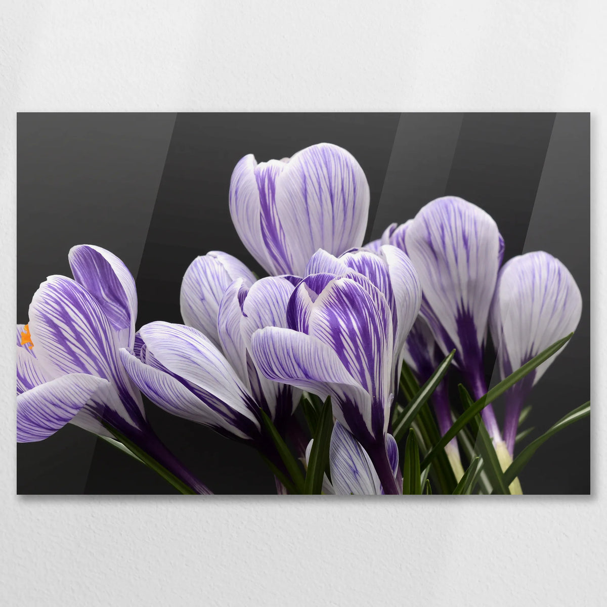 AC-075W050