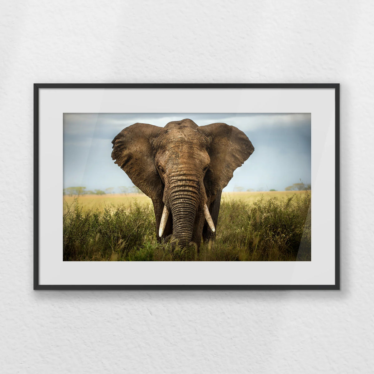 PBP060W040
