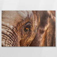 AC-075W050