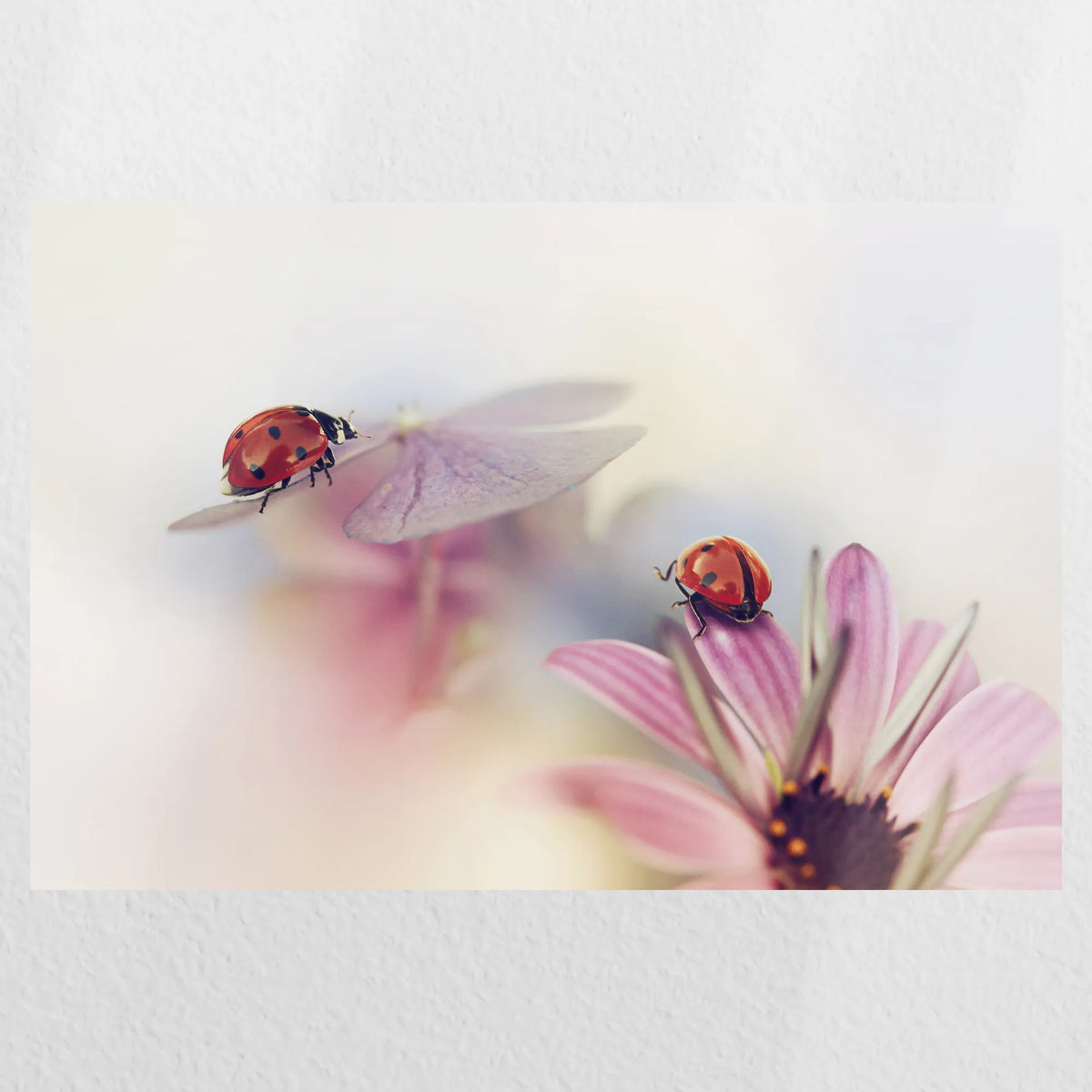 PO-030W020