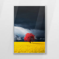 PS-062W093