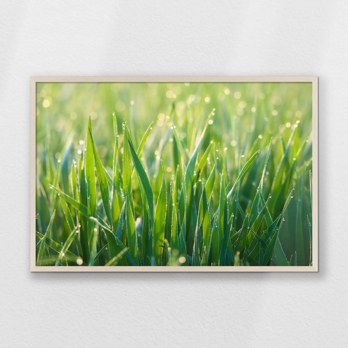 PN-093W062