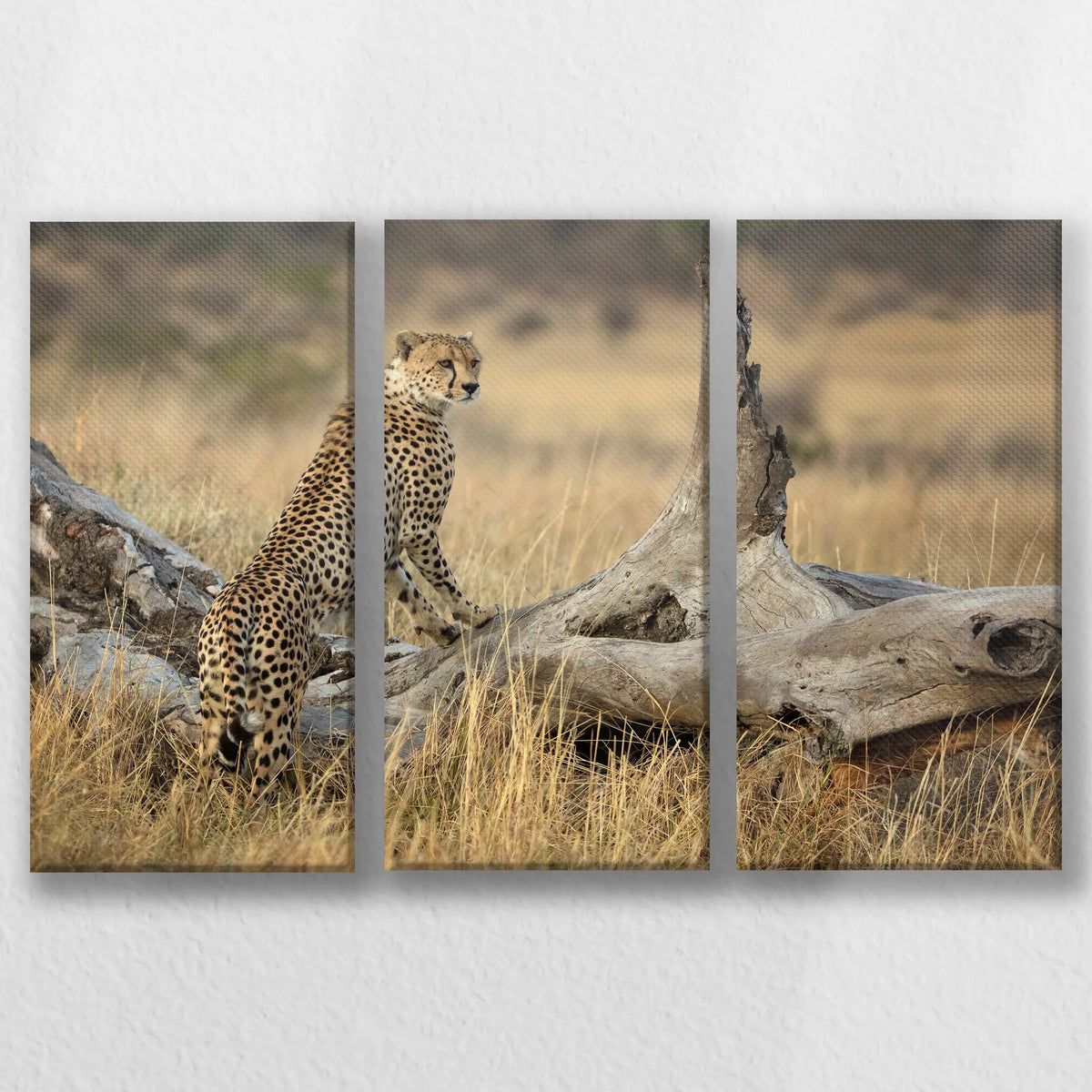 LW-060R040