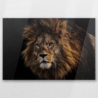 AC-030W020
