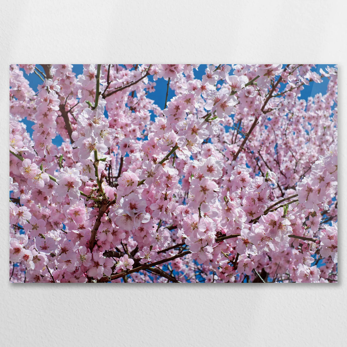 AC-090W060