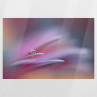 PO-045W030