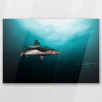 AC-030W020