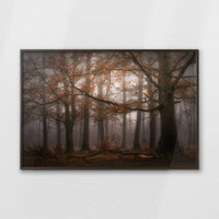 LWN120W080