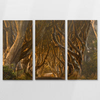 AC-150R100