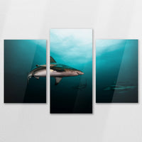 AC-150T100
