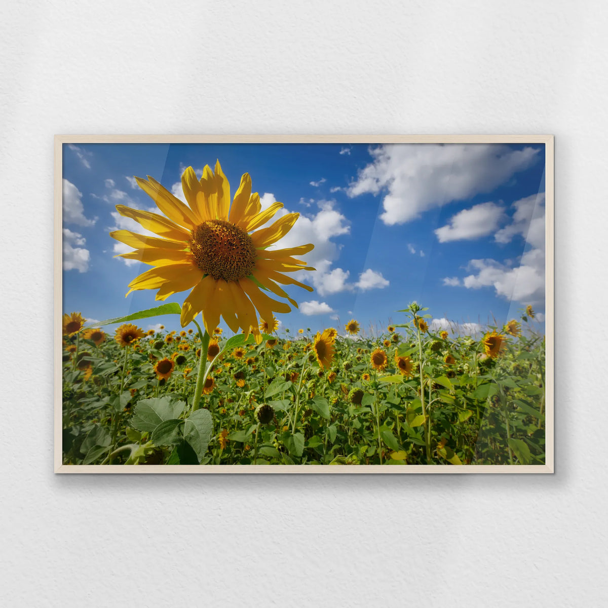 PN-100W070