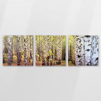 AC-120S040