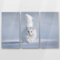 AC-060R040