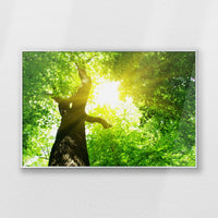 PS-093W062