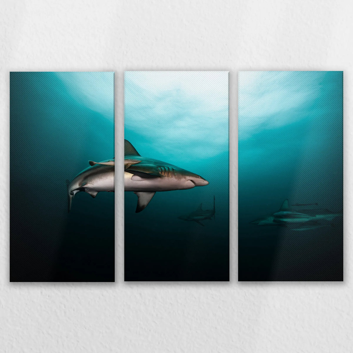 LW-120R080