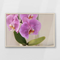PN-093W062