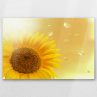 AC-045W030