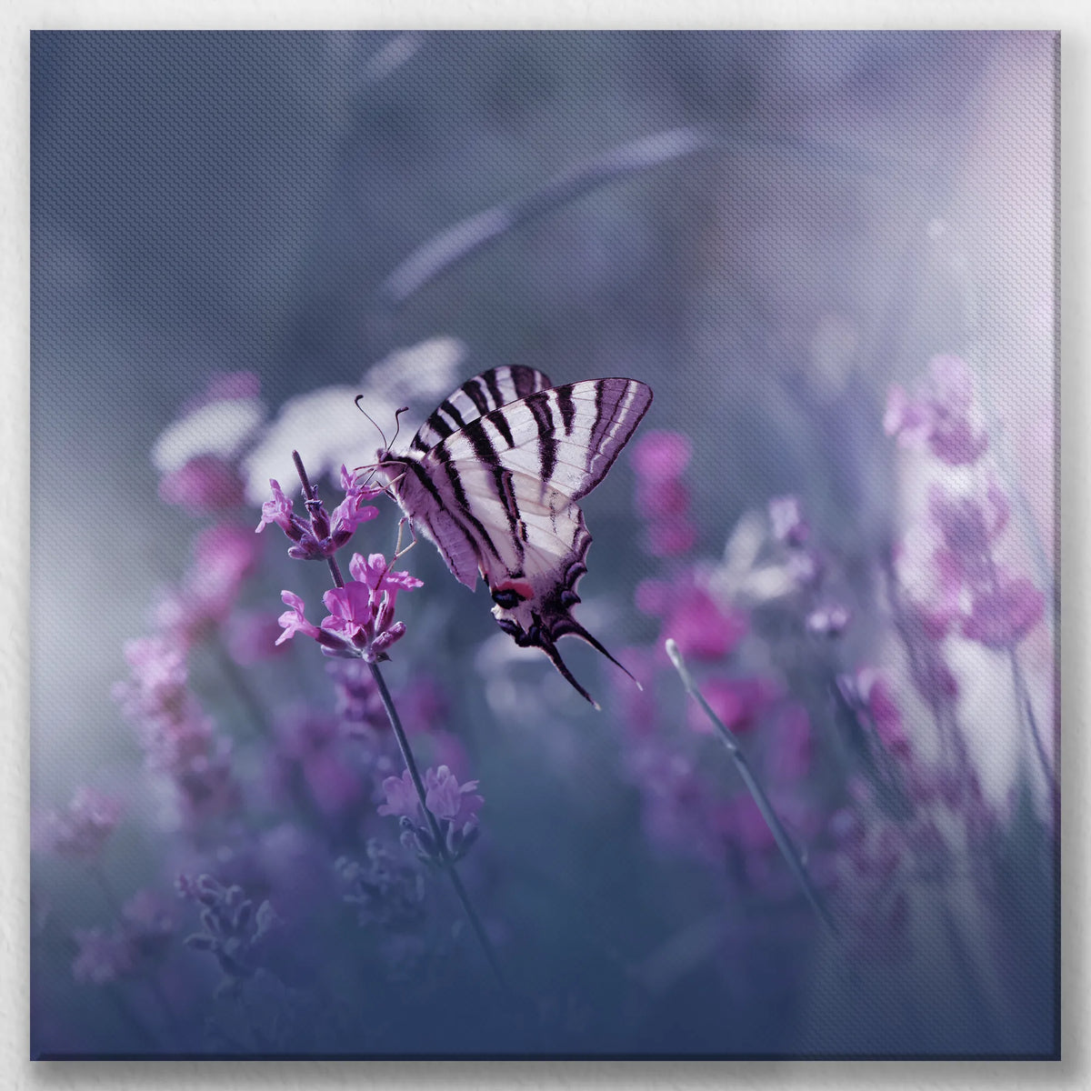 LW-060W060