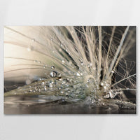 AC-090W060