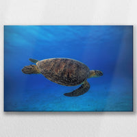 LW-045W030