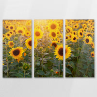 AL-120R080