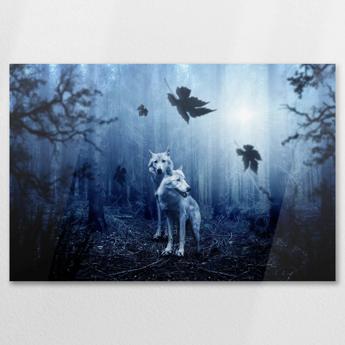 AC-075W050
