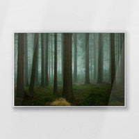 PS-093W062