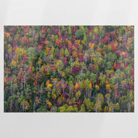 PO-120W080
