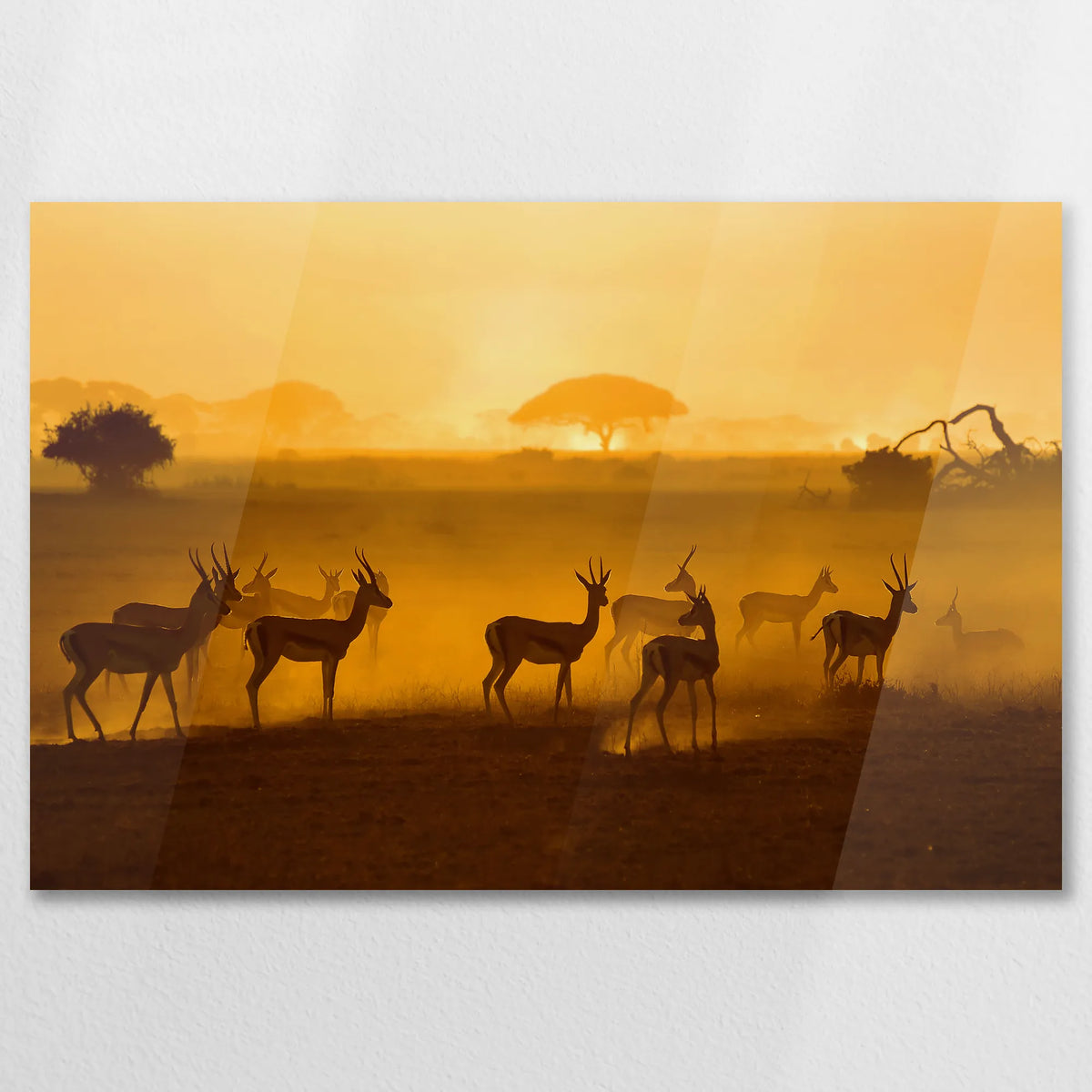 AC-075W050