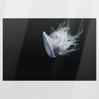 PO-060W040