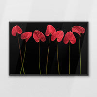 LWB120W080