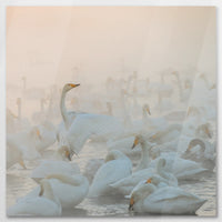 AC-080W080