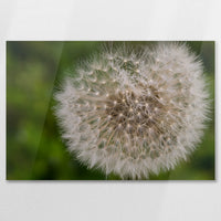 AC-075W050