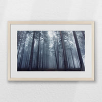 PNP060W040