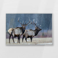 PS-120W080
