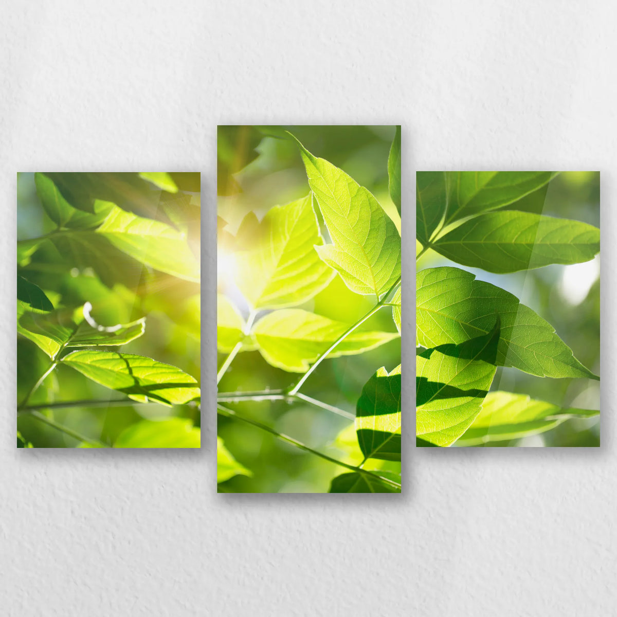 AC-060T040