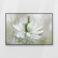 PB-100W070